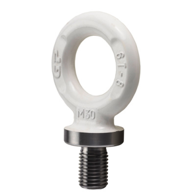 ALDIN - EXCEL Eye bolt length as DIN580, Grade 8