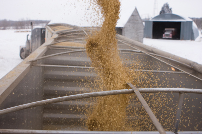 4460 FDA BULK FOOD SUCTION HOSE by Jason Industrial