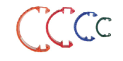 SAFETY LOCK™ Heavy duty cam arm clip by PT Coupling